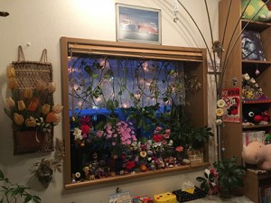 salon_img001
