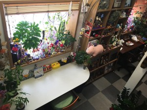 top_slider_004